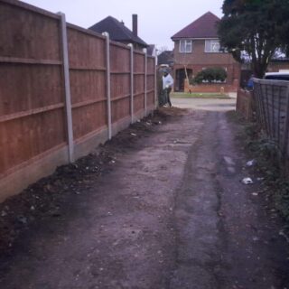 https://www.goldentrees.uk/wp-content/uploads/2024/03/IMG-20240305-WA0027-320x320.jpg